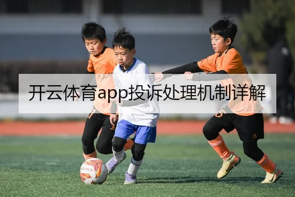 开云体育app投诉处理机制详解