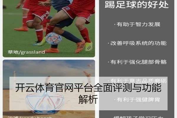 开云体育官网平台全面评测与功能解析
