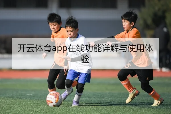 img_1780559440944_234_0_460.jpg