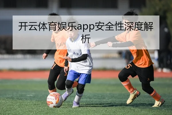 开云体育娱乐app安全性深度解析
