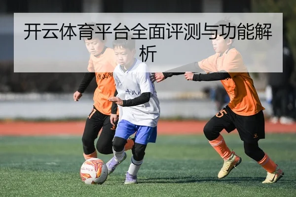 开云体育平台全面评测与功能解析
