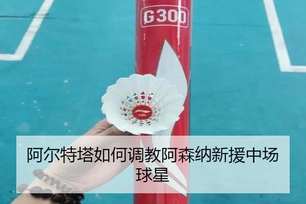 阿尔特塔如何调教阿森纳新援中场球星