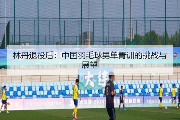 林丹退役后：中国羽毛球男单青训的挑战与展望